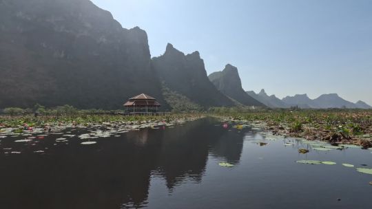 Boat. Thailand. Lake. Lotus Flowers. Day. 2023. POV. Front