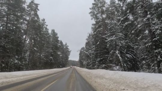 Car. Russia. Forest. Win. Day. 2024. Front. POV