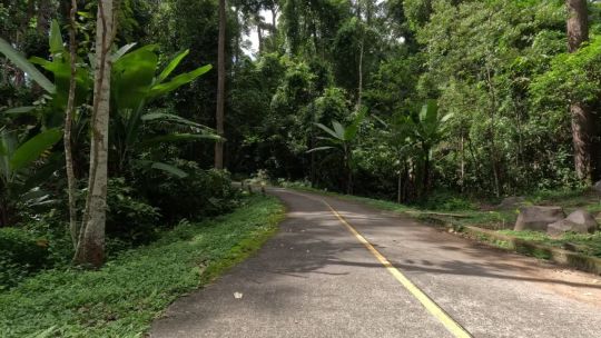 Car. Thailand. Jungle Road. Day. 2023. Front. POV