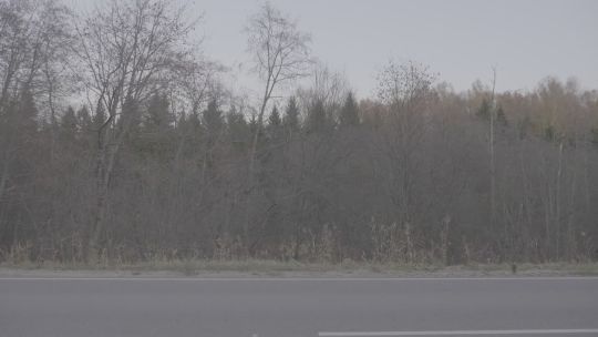 Car. Russia. Suburban. Aut. Evening. 2020. Side. POV