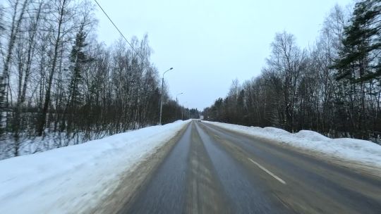 Car. Russia. Suburban. Forest. Win. Day. 2024. Rear POV